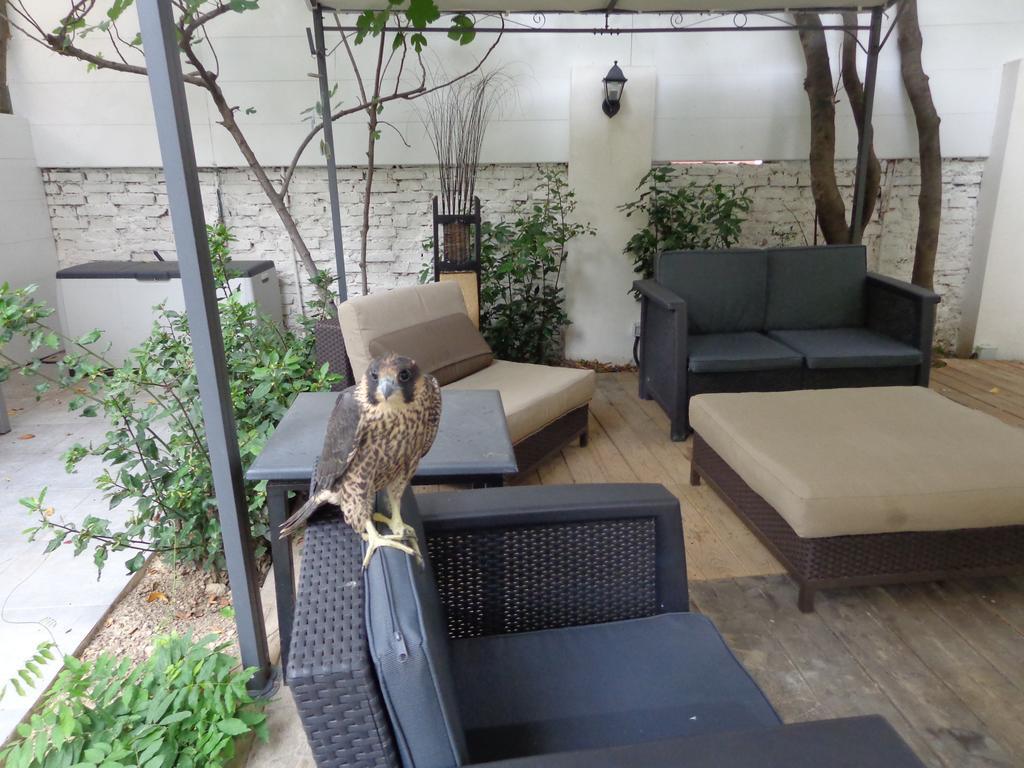Astoria Golden House Hotel Rome Exterior photo